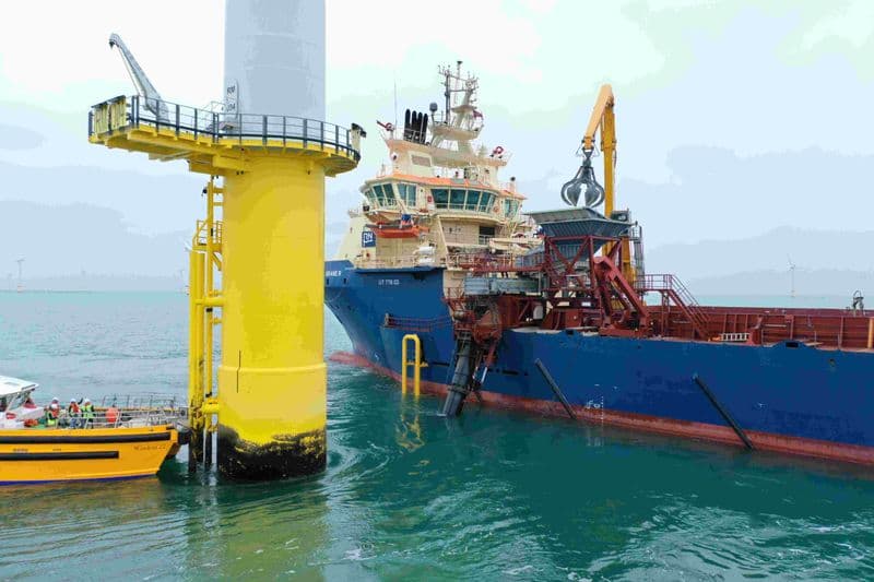 UK Offshore Wind Farm Now Equipped with Scour Protection Doubling as Marine Life Habitat