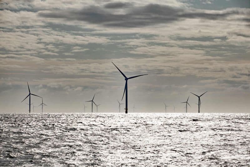 Crown Estate’s Revenue from Existing Offshore Wind Farms 20 Pct Higher, Operating Profit Dips as Round 4 Projects Enter Construction Phase
